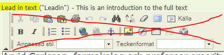 Använd inte formateringsmöjligheterna i fältet "Lead in text".
